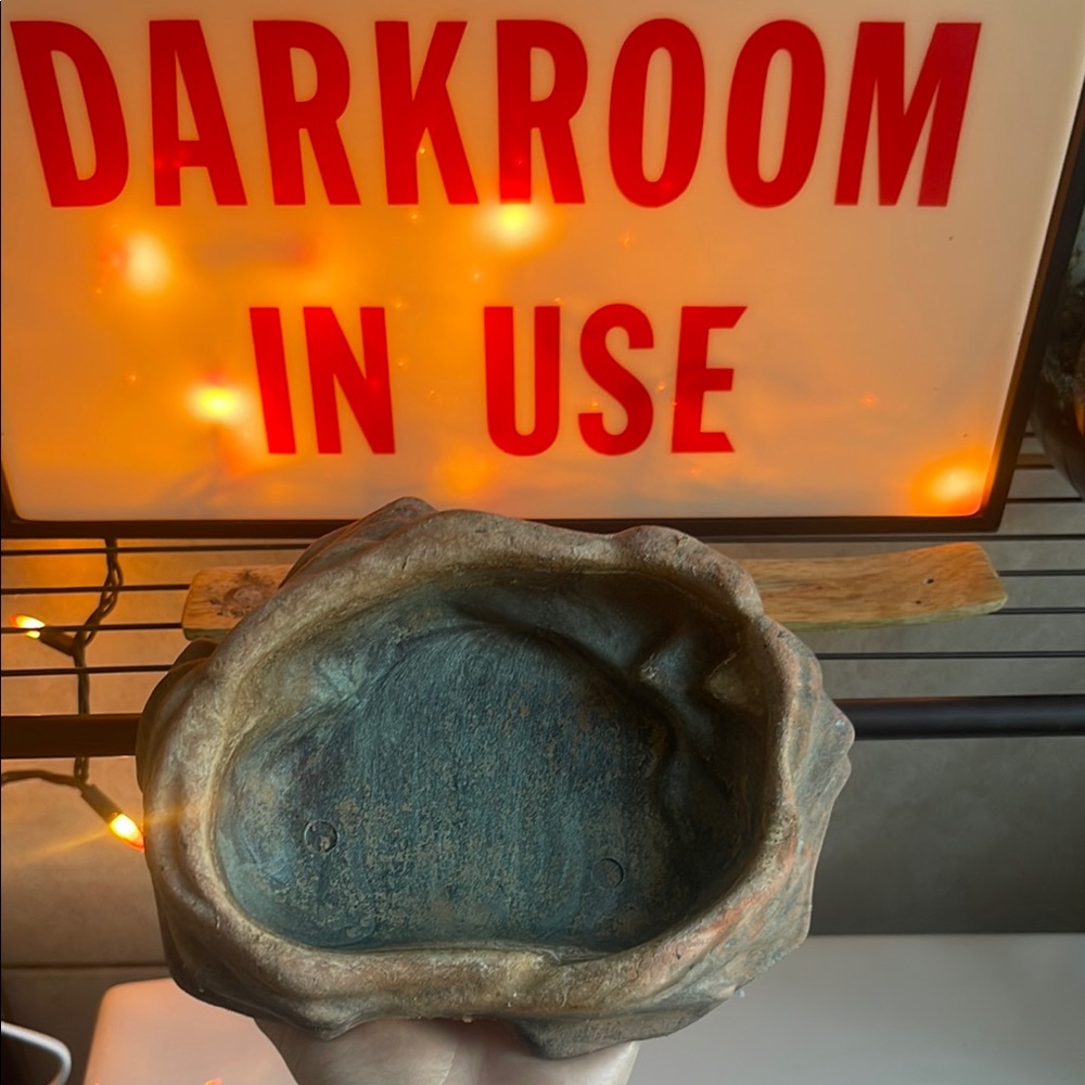 Brown and Gray Reptile Habitat Accessory